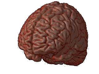 brain moving